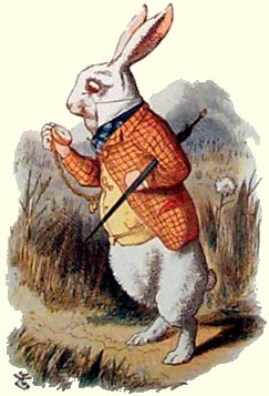 whiterabbit01 (25K)